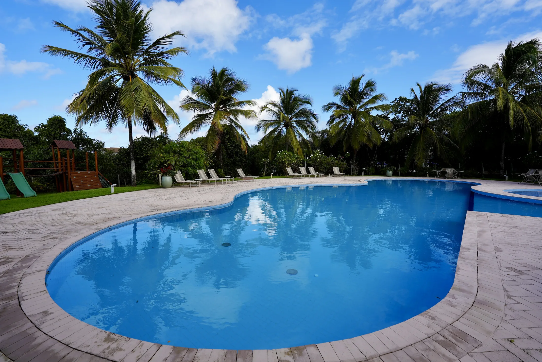 Piscina comunitária do clube, em curva, cercada de coqueiros